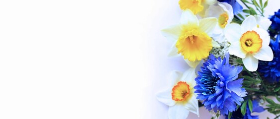 Spring bouquet with daffodils on a white background. Spring flower arrangement. Light pastel shades. Background for a greeting card.