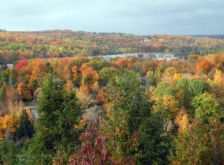 Fall landscape with colorful trees