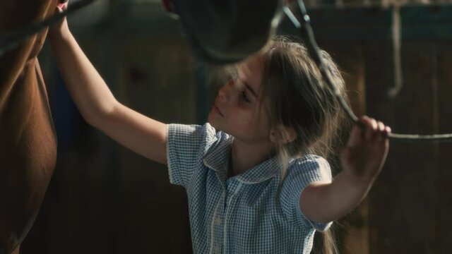 Girl Cleaning Horse In Barn