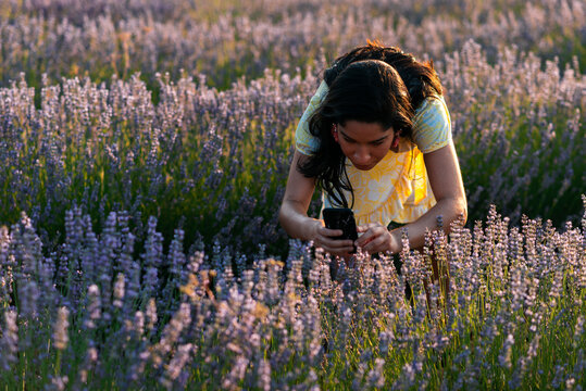Black woman using phone in lavender fields