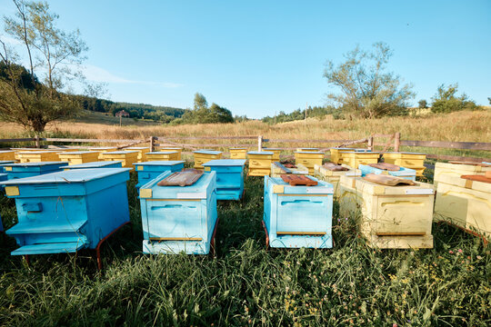 Hive boxes in the countryside