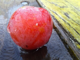 fruits, ripe fruits, autumn harvest,