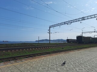 railway track, rails in the distance, road
