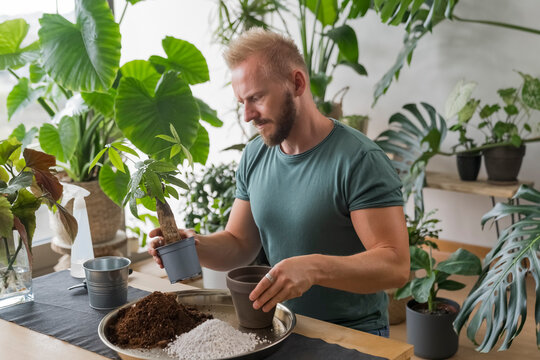 Man Mixing Soil with his hands