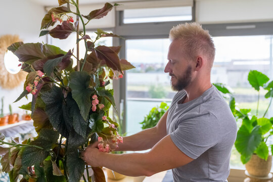 Man Tiding up a plant at Home