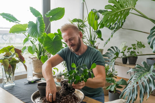 Man Mixing Soil with his hands