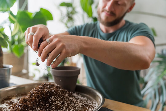 Man Repotting a plant at Home