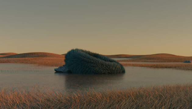 hairy torus posing on hills