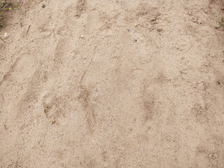 Top view of a smooth sandy texture