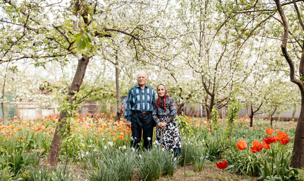 Couple of pensioners in garden.