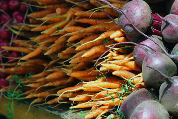 Vegetable line up with carrots and beets 
