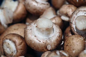 Close up mushroom farmers market