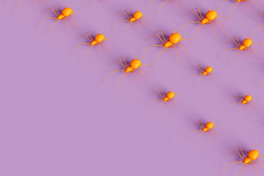 Orange spiders - Halloween concept with copys pace