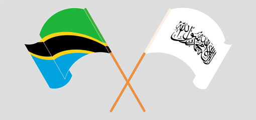 Crossed and waving flags of Tanzania and Taliban