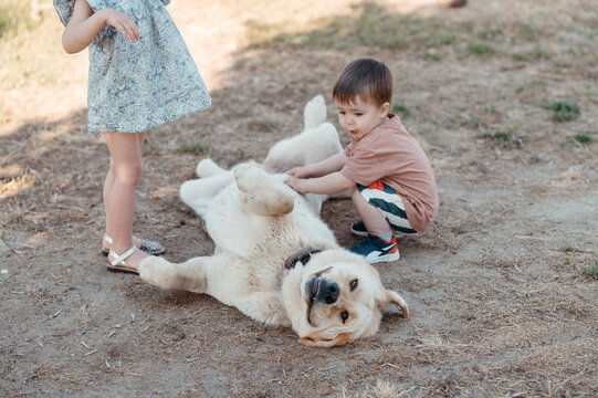 Children playing with dog.