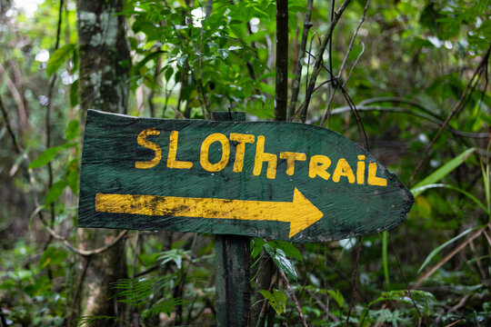 Sloth Sign 