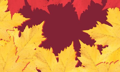 autumn landscape with bright colorful leaves foliage.