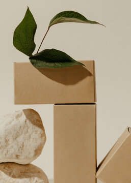 Clean Beauty Boxes