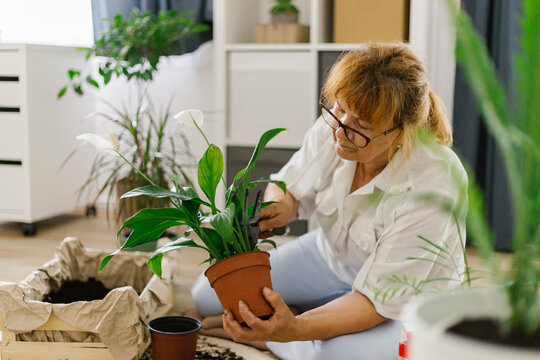 Senior woman planting flowers in her office