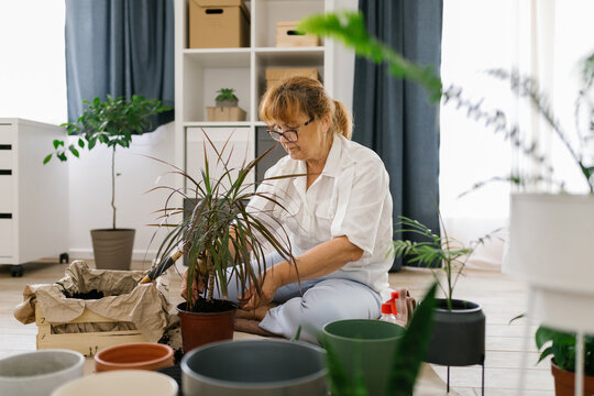 Senior Woman Planting Flowers At Home