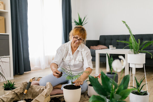 Senior Woman Planting Flowers At Home