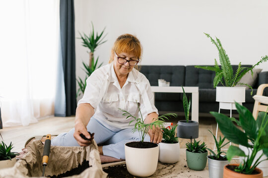 Senior woman planting flowers at home