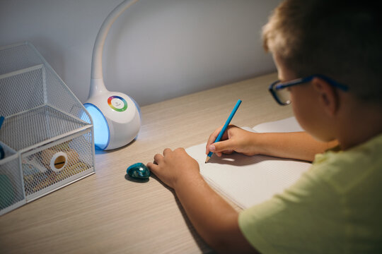 Boy Doing Homework in his Room