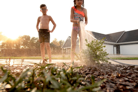 Ground-level in a flower bed. 