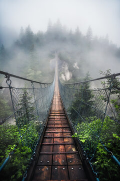 Moody suspension bridge