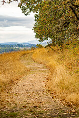 country pathways