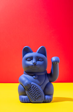 Blue neko