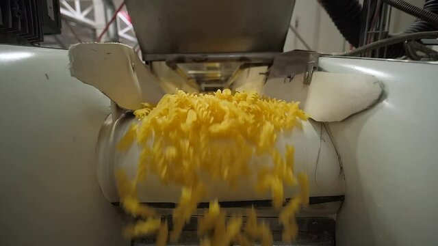 Modern factory conveyor moves raw spiral pasta at food facility to a packing department.