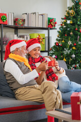Obraz na płótnie Canvas senior couple feeling happy with Christmas gift during Christmas festival
