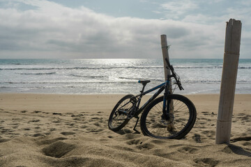 bike parked on a stick at the beach on a sunny day