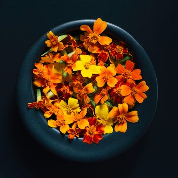 Edible gem marigold flowers