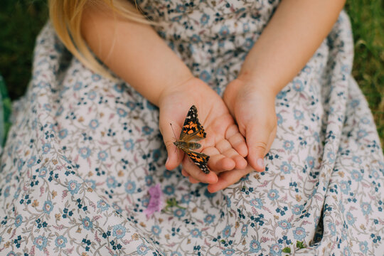 Little girl holding a butterfly