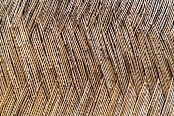 Thatch Bamboo Texture