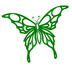 butterfly insect nature wings fly