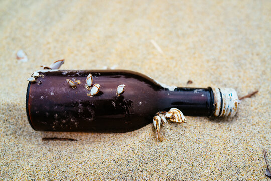 Marine waste