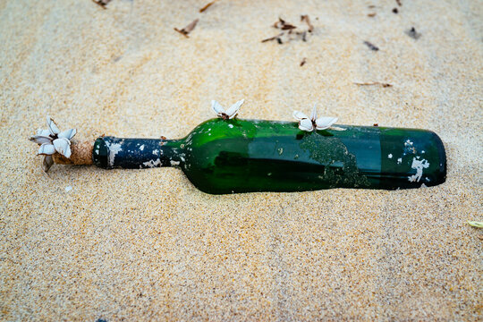 Marine waste