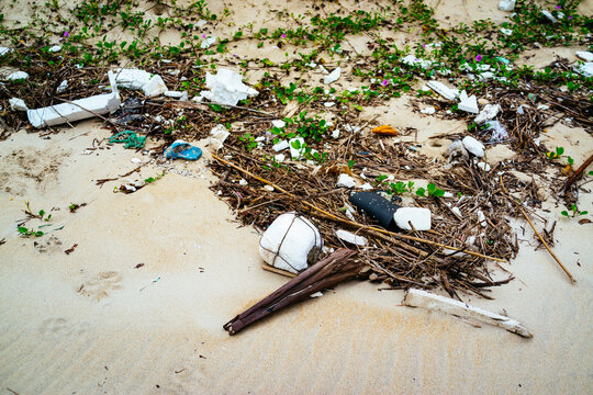 Marine waste