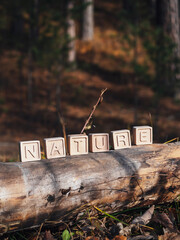 Obraz na płótnie Canvas The laid out inscription nature from wooden cubes. Birch fallen tree in the autumn forest. The concept of nature conservation