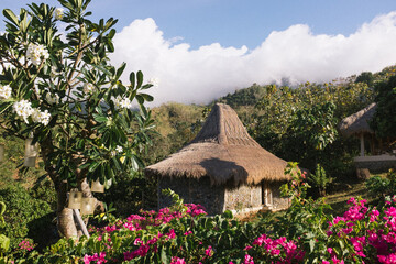 Tropical House In A Garden