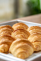 Focus of freshly baked plain Croissant. Homemade French butter croissants.