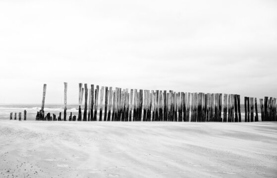 Breakwater poles on a beach