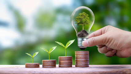 Plants growing in energy-saving lamps in people's hands and plants on piles of coins. Renewable Energy and Environmental Finance Concepts