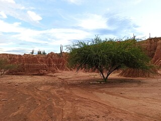 Desierto, Contraste de la Naturaleza 