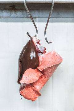 liver and lung