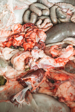 sheep innards