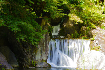 日本庭園の滝とモミジ